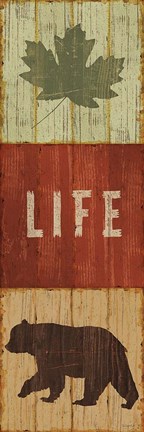 Framed Lake Lodge XIV Print