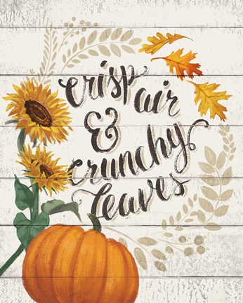 Framed Harvest Delight III on White Print