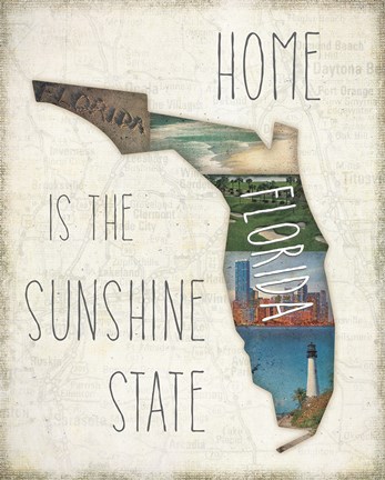 Framed InstaStates IV Print