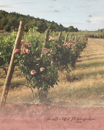 Framed Vineyard Roses Print