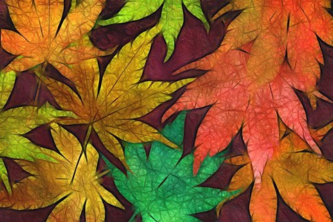 Framed Autumn Leaves III Print