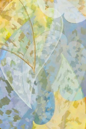 Framed Leaf Pattern V Print