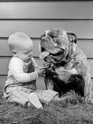 Framed 1950s 1960s Baby Sitting Playing With Bulldog Print