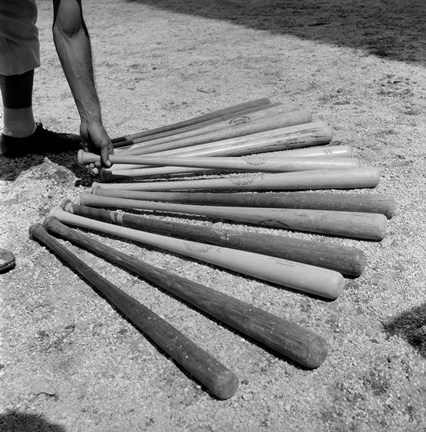 Framed 1950s Baseball Player Selecting A Variety Of Bats Print