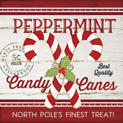 Framed Candy Canes Print