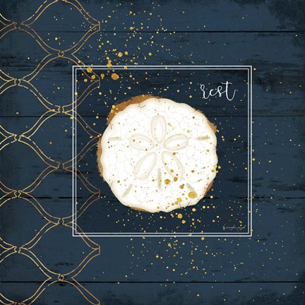 Framed Rest Sanddollar Print