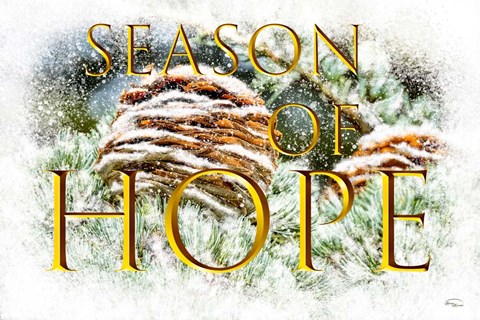Framed Season of Hope Print