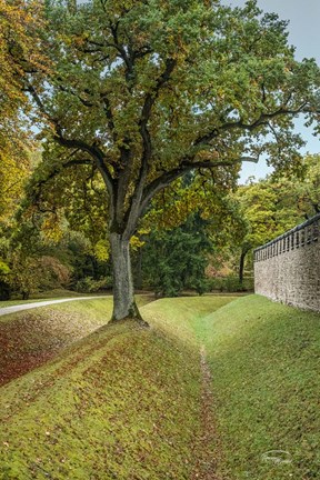 Framed Outside the Wall I Print