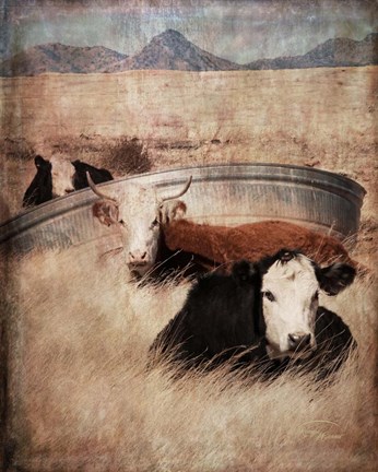 Framed Watering Hole Print