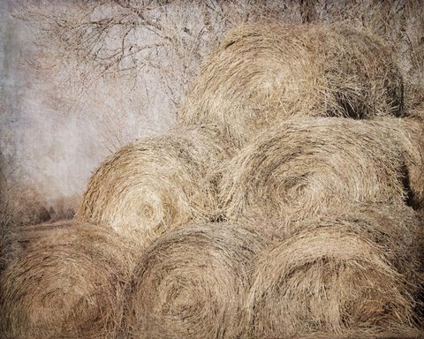 Framed Round Bales Print