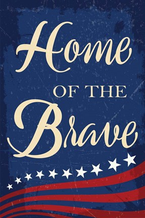 Framed Americana I Print