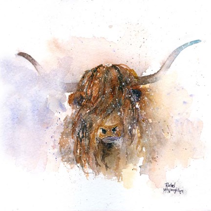 Framed Highland Cow Print