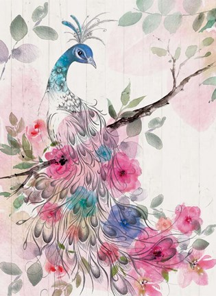 Framed Peacock Floral Print