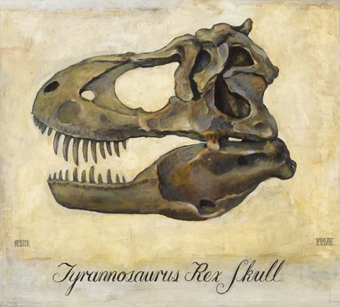 Framed Tyrannosaurus Rex Skull Print