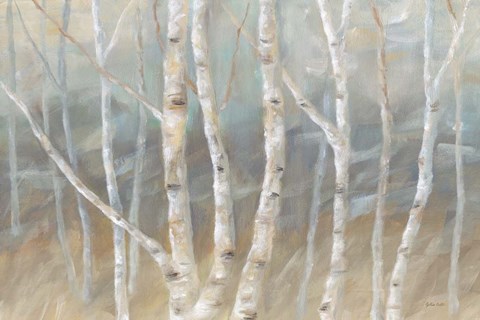 Framed Silver Birch Landscape Print