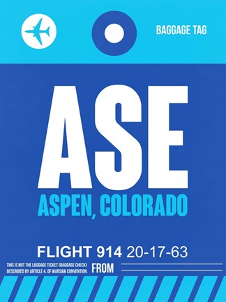 Framed ASE Aspen Luggage Tag II Print