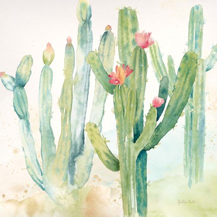 Framed Cactus Garden II Print