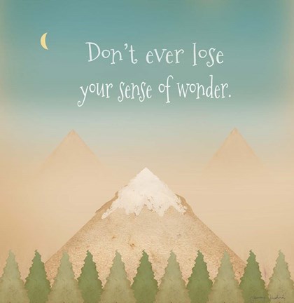 Framed Sense of Wonder II Print