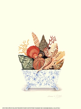 Framed Seashell Collection II Print