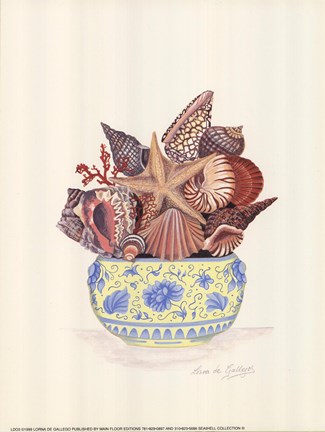 Framed Seashell Collection III Print