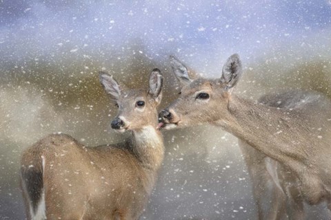 Framed Mothers Love Print