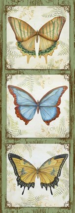 Framed Butterflies Print