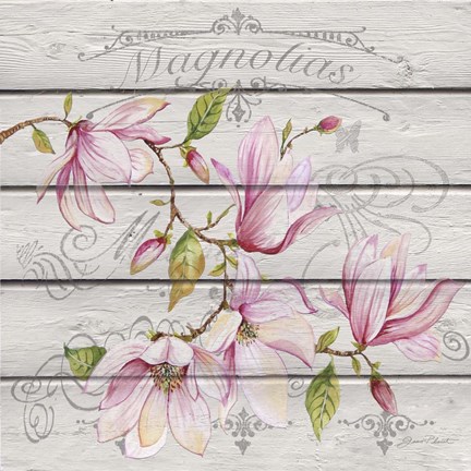 Framed Pink Magnolias I Print