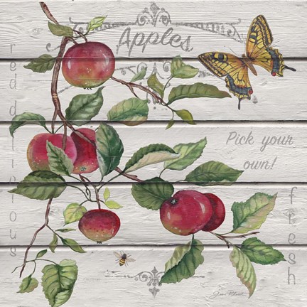 Framed Red Delicious Apples Print