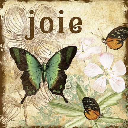 Framed Inspirational Butterflies -Joie Print