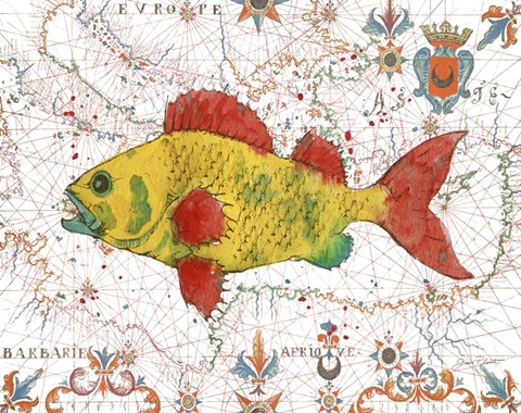 Framed Nautical Treasures-C Print