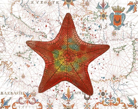 Framed Nautical Treasures-K Print