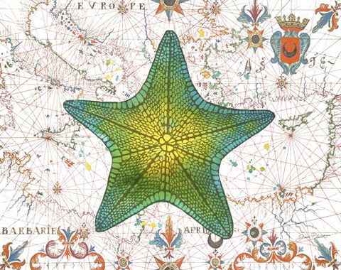 Framed Nautical Treasures-L Print