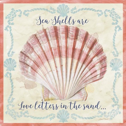 Framed Sea Shells  -  A Print