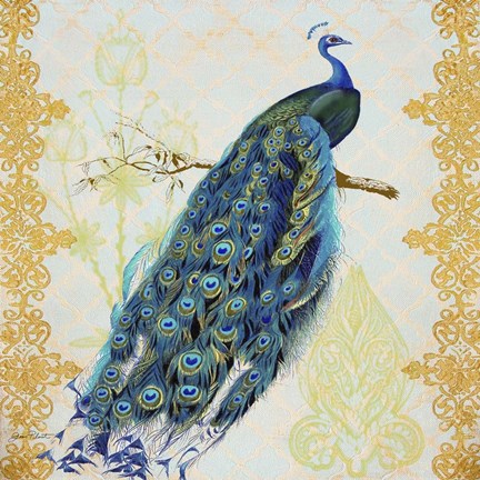 Framed Beautiful Peacock  -  A Print