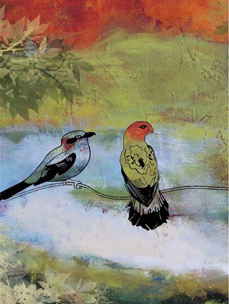 Framed Birds In The Valley  -  A Print