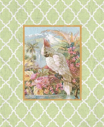 Framed Cockatiel Beauty  -  A  -  Green Print