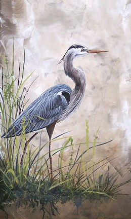 Framed In The Reeds - Blue Heron - A Print