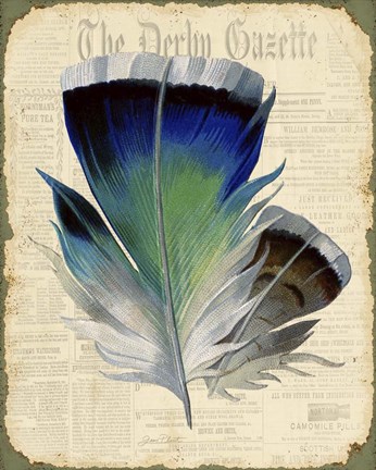 Framed Elegant Feather - A Print