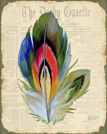 Framed Elegant Feather - B Print