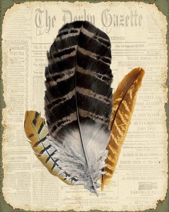 Framed Elegant Feather - D Print