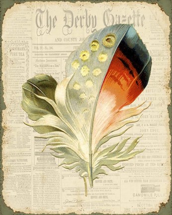 Framed Elegant Feather - E Print