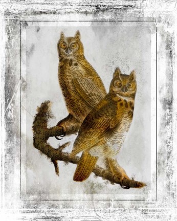 Framed Birds With Class - E Print