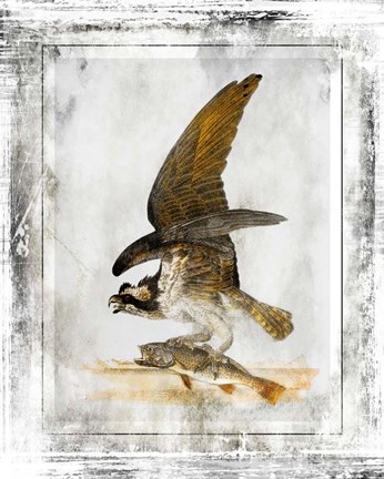 Framed Birds With Class - G Print