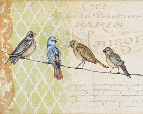 Framed Birds Gathered On Wire - Paris Wall - A Print