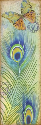 Framed Peacock Feather Souvenirs I Print