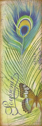 Framed Peacock Feather Souvenirs II Print