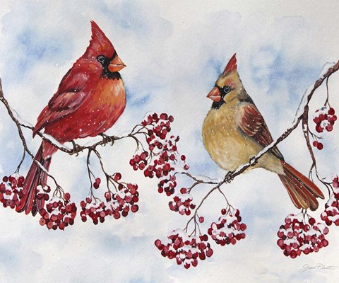 Framed Cardinal And Winter Berries - C Print