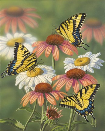 Framed Yellow Tiger Swallowtails Print