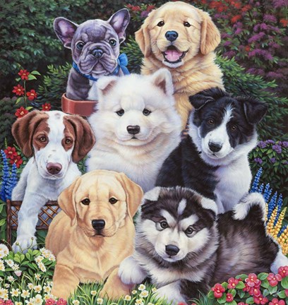 Framed Precious Puppies Print