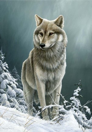 Framed Wolf On The Ridge Print